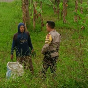 Sinergi Polisi & Petani: Pastikan Harga Beras Stabil