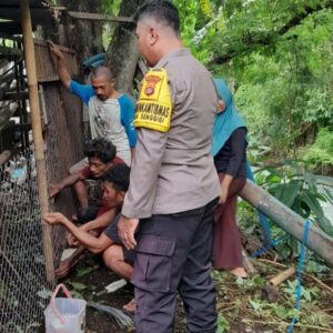 Terobosan Polisi di Lombok: Lahan Kosong Jadi Solusi Ketahanan Pangan Nasional