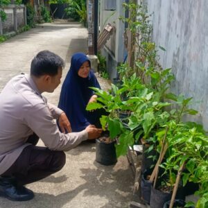 Kisah Inspiratif: Pekarangan ‘Disulap’ Jadi Lumbung Pangan oleh Warga Lombok Barat