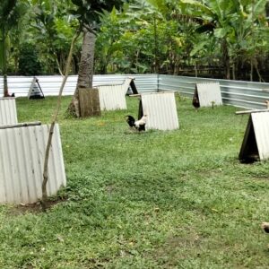 Dedikasi Polsek Batulayar: Wujud Nyata Keamanan Masyarakat