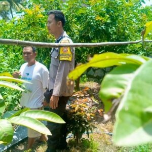 Pekarangan Jadi Sumber Pangan, Polsek Labuapi Beri Dukungan Warga