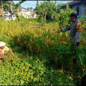 Dekat dengan Petani, Bhabinkamtibmas Karang Bongkot Bantu Perkuat Pertanian