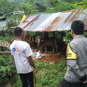 Strategi Jitu Polisi di NTB Atasi Krisis Pangan di Desa