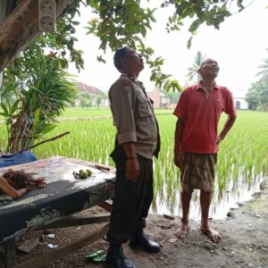 Desa Ini Buktikan, Polisi dan Petani Bisa Bersatu Ciptakan Swasembada