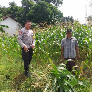 Sinergi Polisi dan Warga: Wujudkan Ketahanan Pangan di Lombok Barat