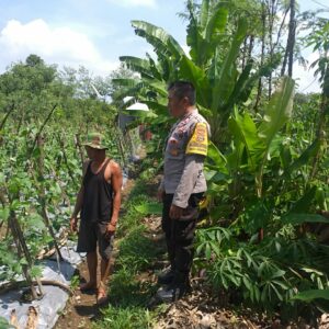 Polisi Turun ke Sawah, Ketahanan Pangan Makin Kuat