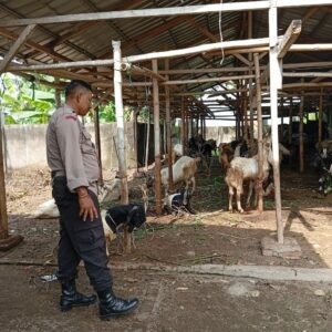 Bhabinkamtibmas Desa Merembu Aktif Dukung Swasembada Pangan