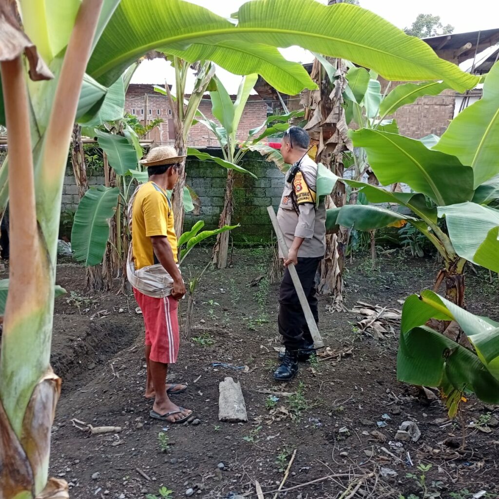 Optimalisasi Potensi Lokal, Desa Merembu Siap Swasembada Pangan