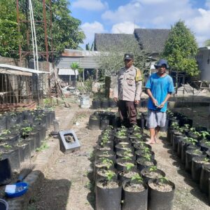 Polri Dukung Ketahanan Pangan Melalui Program Sosialisasi di Desa Kuripan Utara