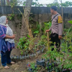 DDS Bhabinkamtibmas: Sinergi Keamanan dan Ketahanan Pangan Warga