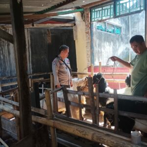 Program Ketahanan Pangan: Bhabinkamtibmas Desa Batulayar Barat Ajak Warga Manfaatkan Pekarangan Rumah