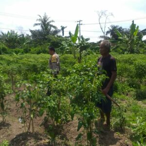 Bhabinkamtibmas Dorong Warga Optimalkan Lahan untuk Pangan