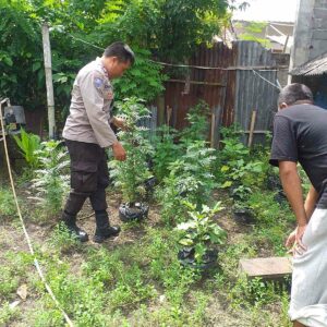 Bhabinkamtibmas Dorong Ketahanan Pangan Desa di Lombok Barat