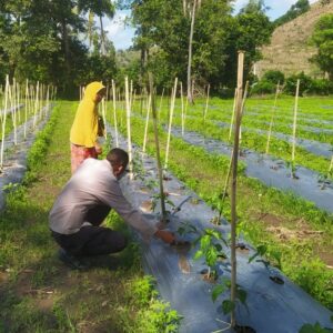 Sinergi Polri dan Petani: Upaya Menjaga Kamtibmas dan Ketahanan Pangan