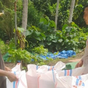 Bhabinkamtibmas Sekotong Dukung Petani Jagung Jaga Kamtibmas