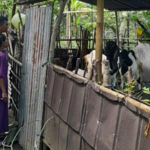 Bhabinkamtibmas Desa Senggigi Dorong Pemanfaatan Lahan Kosong untuk Pangan