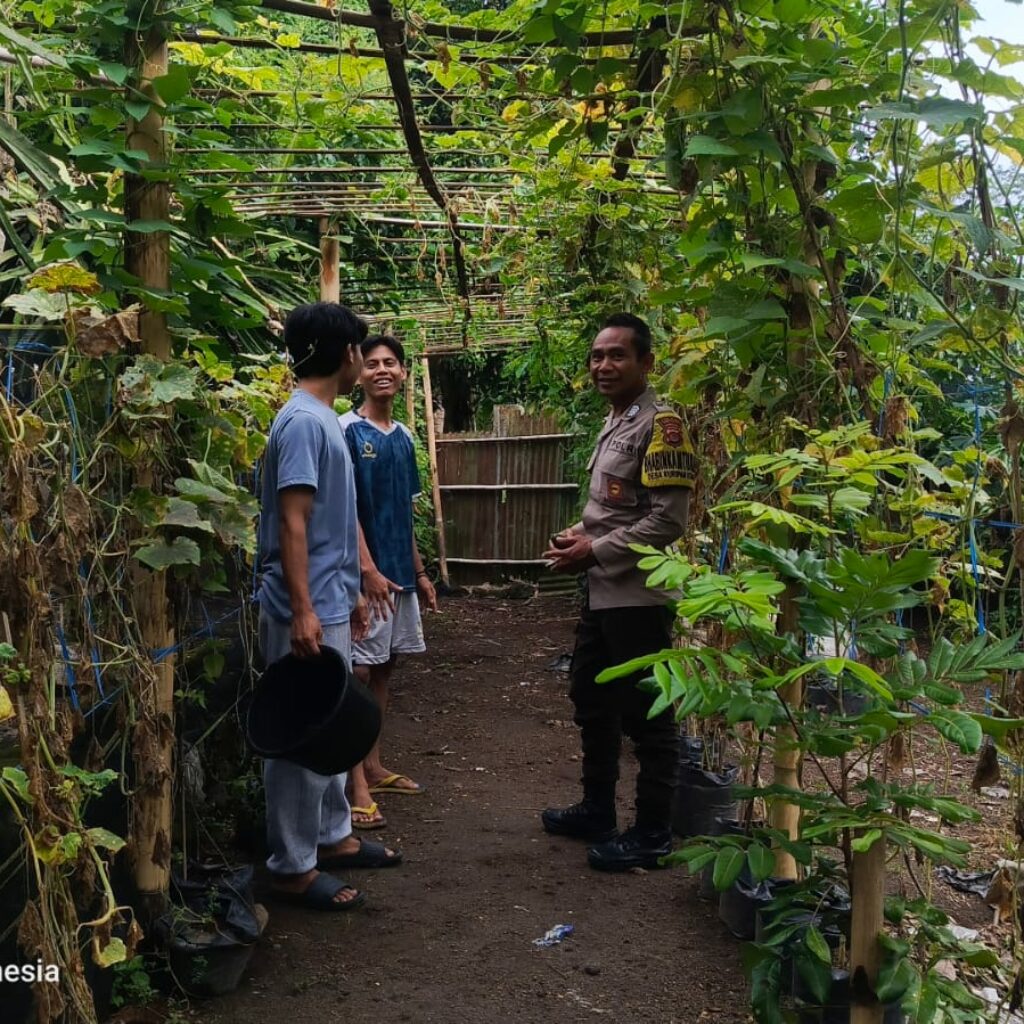 Bhabinkamtibmas Kuripan Giatkan Pemanfaatan Pekarangan untuk Pangan
