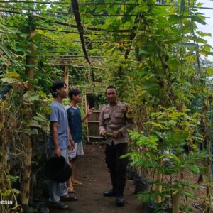 Peran Strategis Bhabinkamtibmas Dorong Ketahanan Pangan Lokal