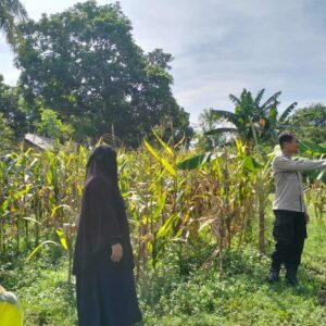 Sinergi Polri-Petani Tingkatkan Kemandirian Pangan di Desa Lelede