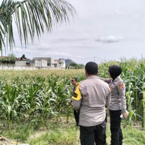 Bhabinkamtibmas Aktif Dukung Petani Cabai Demi Ketahanan Pangan Lokal