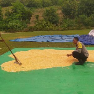 Polri Jalin Sinergi Petani untuk Wujudkan Ketahanan Pangan di Sekotong