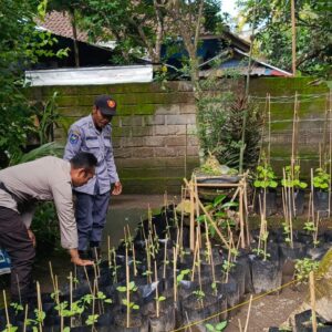 Sinergi Polri dan Warga: Ketahanan Pangan Dimulai dari Pekarangan