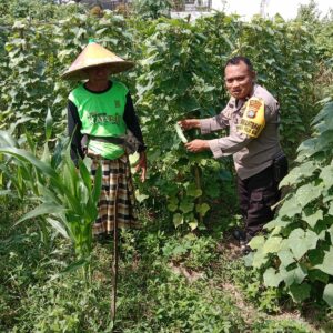 Bhabinkamtibmas Ajak Warga Tanam Pangan untuk Dukung Ketahanan Nasional