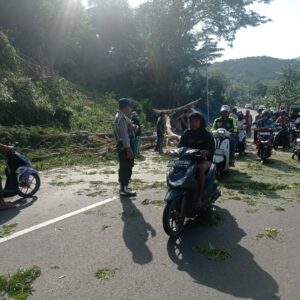 Polisi Kawal Pemangkasan Pohon di Lembar Selatan, Arus Lalin Tetap Lancar