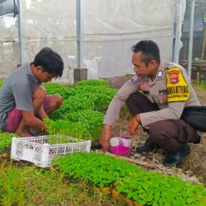Bhabinkamtibmas Desa Kuripan Utara Sosialisasikan Ketahanan Pangan Nasional
