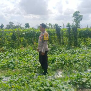 Bhabinkamtibmas Aktif Bina Petani Desa Beleka NTB
