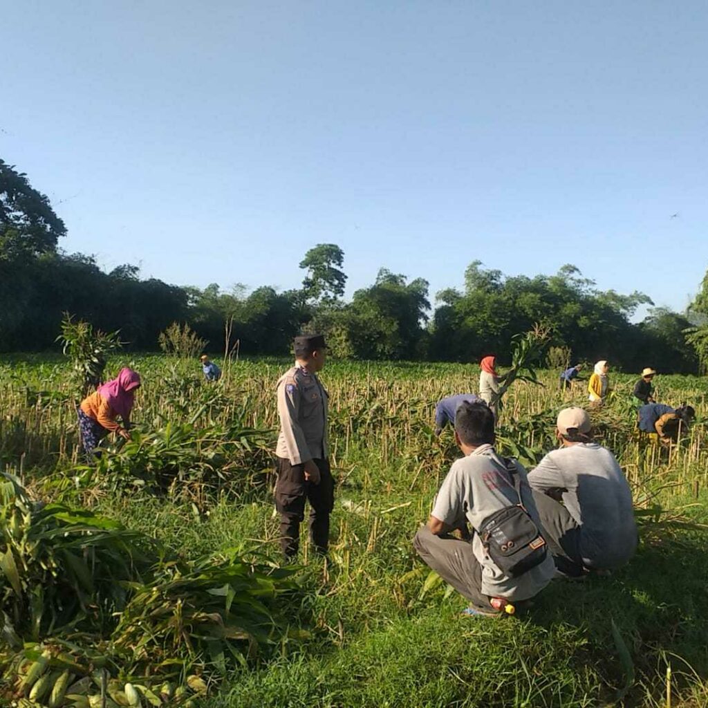 Inisiatif Ketahanan Pangan di Dusun Tambang Eleh Dapat Dukungan Polri