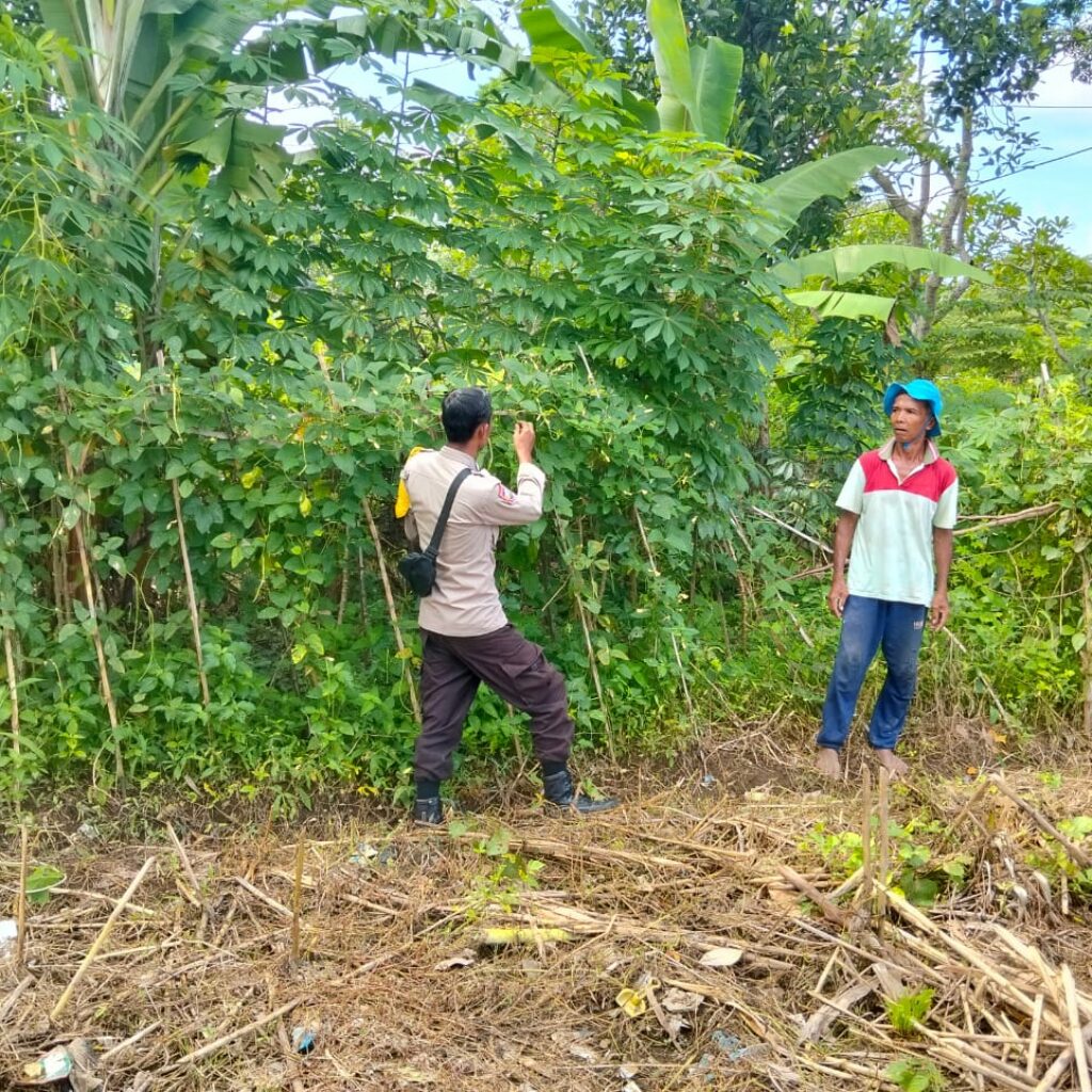 Bhabinkamtibmas Desa Rumak Aktif Edukasi Warga Soal Swasembada Pangan