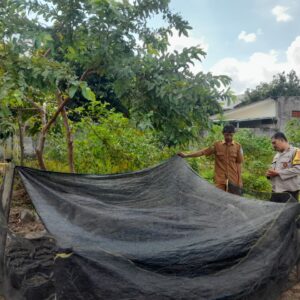 Ketahanan Pangan Dimulai dari Dusun: Inisiatif Hijau Warga Gelogor Selatan
