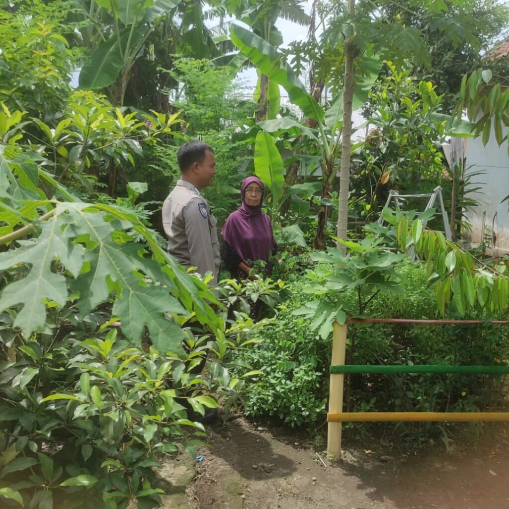 Bhabinkamtibmas Gerung Dukung Ketahanan Pangan Lewat Pekarangan Warga