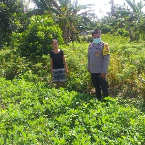 Bhabinkamtibmas Jagaraga Giatkan Swasembada Pangan di Kuripan