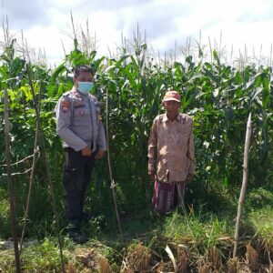 Peran Bhabinkamtibmas dalam Wujudkan Ketahanan Pangan Lokal