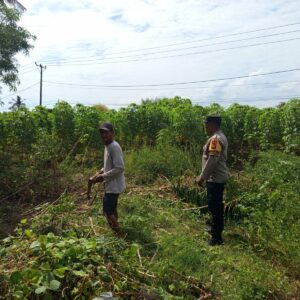 Peran Aktif Polisi Desa Sekotong Barat Dorong Produktivitas Petani
