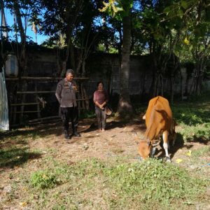 Ketahanan Pangan di Senggigi: Peran Aktif Polsek Batulayar
