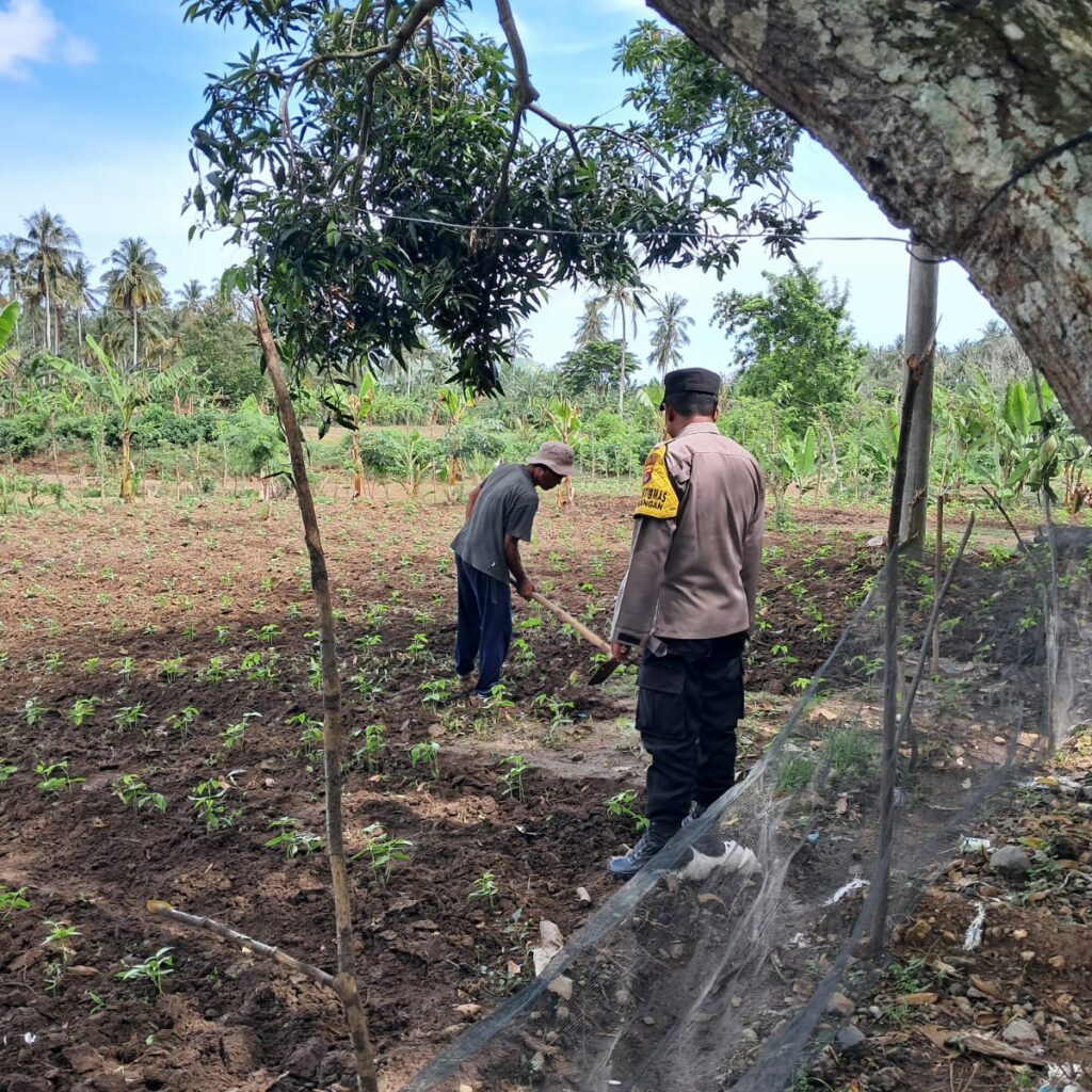 DDS Polsek Sekotong Dorong Pemanfaatan Lahan Pertanian Warga