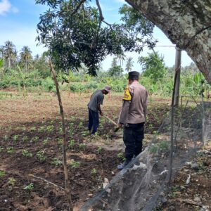 DDS Polsek Sekotong Dorong Pemanfaatan Lahan Pertanian Warga