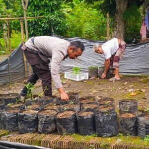 Ketahanan Pangan Dimulai dari Pekarangan: Inisiatif Polri di Kuripan