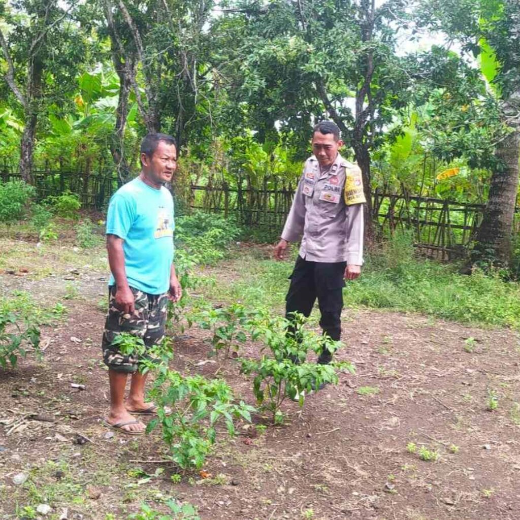 DDS Bhabinkamtibmas Batu Putih: Edukasi Pekarangan Tangguh Pangan