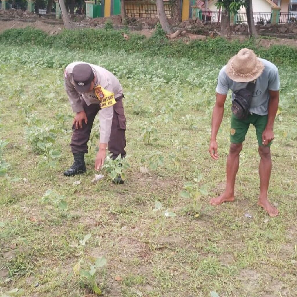 Optimalisasi Lahan Pertanian Desa Taman Ayu, Polri Ambil Peran Strategis