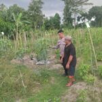 Ketahanan Pangan Dimulai dari Desa: Inisiatif Bhabinkamtibmas di Kuranji Dalang
