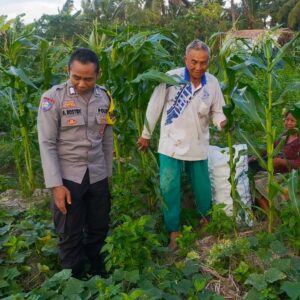 Sinergi Polri dan Petani Dusun Grepek Perkuat Program Ketahanan Pangan Nasional