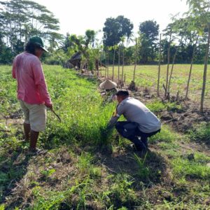 Sinergi Polri dan Petani Dusun Aik Senin dalam Wujudkan Ketahanan Pangan