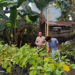 Sinergi Bhabinkamtibmas dan Pemuda di Kuripan Utara untuk Pangan