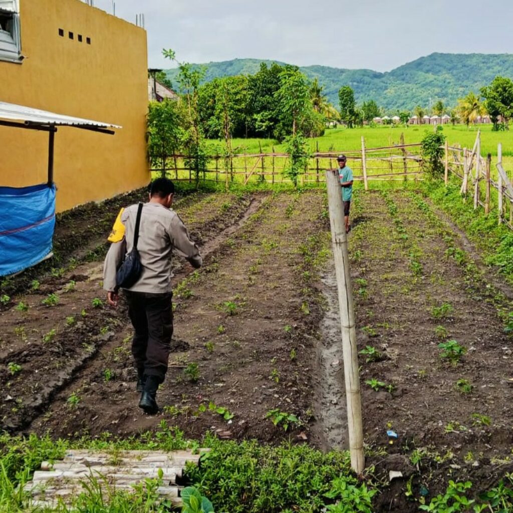 Polri Aktif di Ladang Petani Kediri, Dorong Kesejahteraan dan Ketahanan Pangan