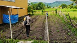 Bhabinkamtibmas Kediri Dukung Petani Wujudkan Ketahanan Pangan