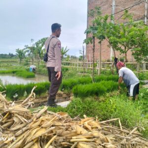 Peran Aktif Polri dalam Swasembada Pangan di NTB